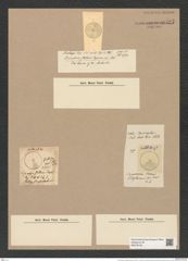 Coscinodiscus stellaris Roper. (de-Toni-Nr.: Genus 202, Species 4940) Zeichnungen Sammlung Grunow Nr. 8527 (NHMW-BOT-W0378155)